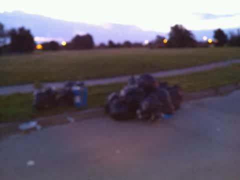 Rubbish/Recycling, a report photo