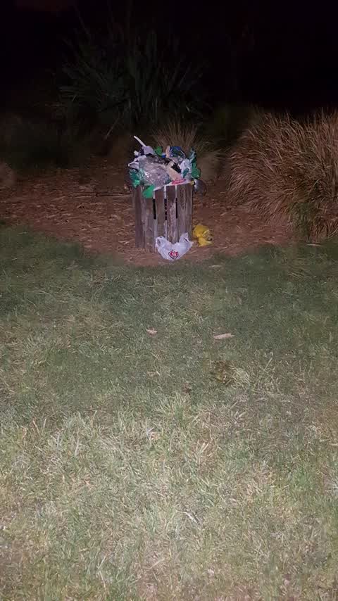 Parks, a report photo