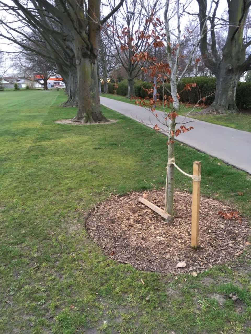 The photograph attached to this parks report