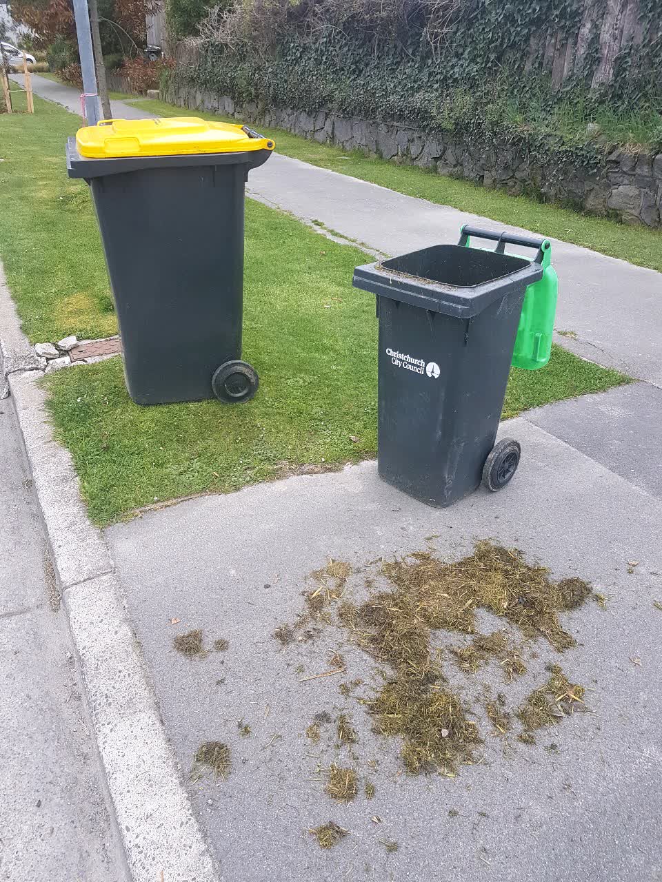 The photograph attached to this rubbish/recycling report