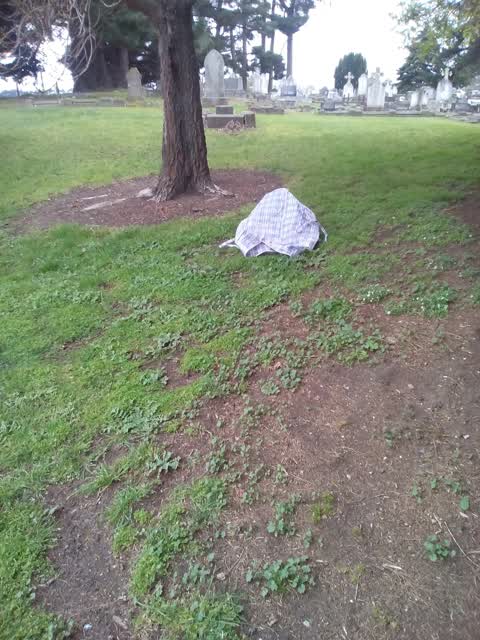 Rubbish/Recycling, a report photo
