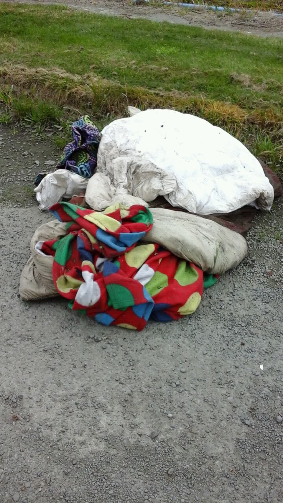 The photograph attached to this rubbish/recycling report