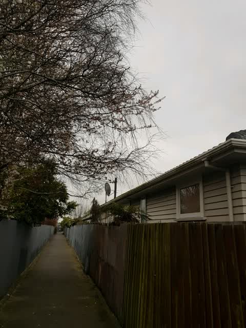 Roading/Streets, a report photo