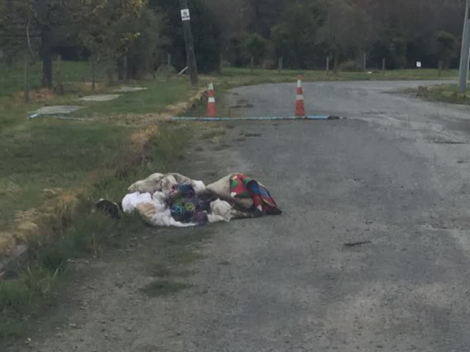 The photograph attached to this rubbish/recycling report