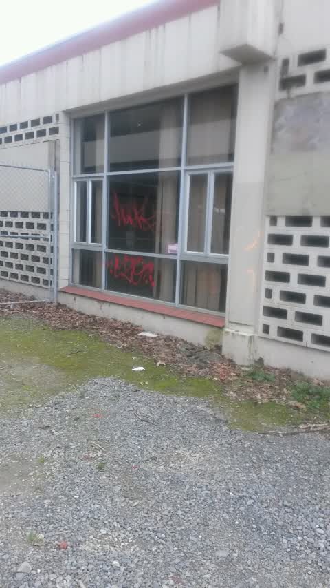 Graffiti — a report photo