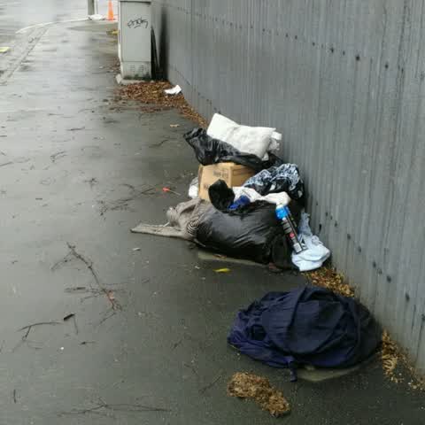Rubbish/Recycling, a report photo