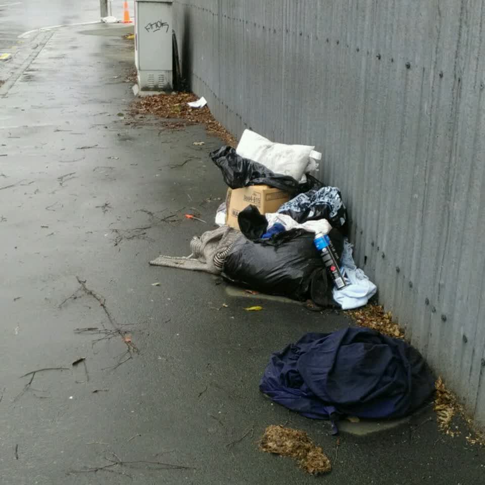 The photograph attached to this rubbish/recycling report
