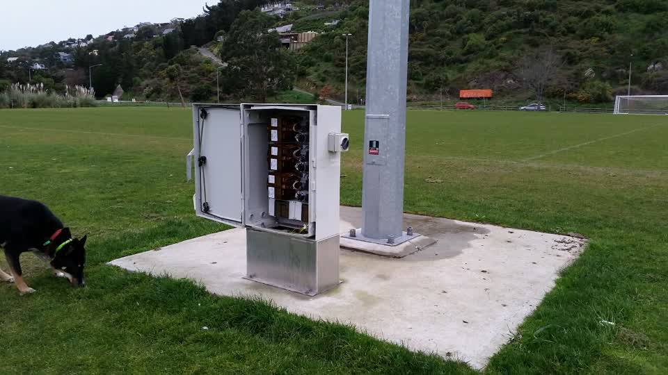 The photograph attached to this parks report