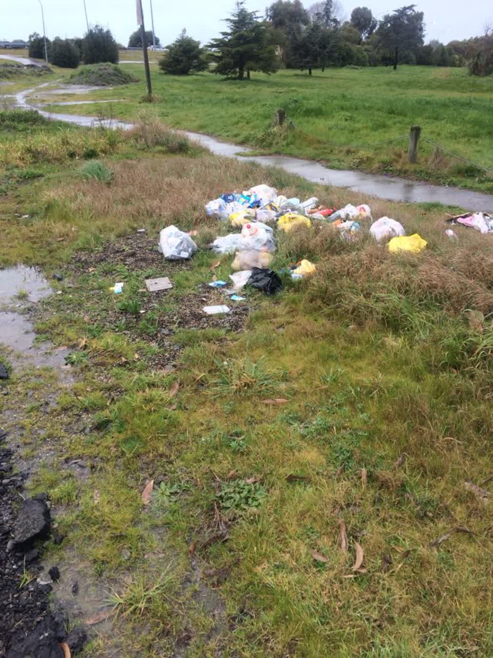 The photograph attached to this rubbish/recycling report
