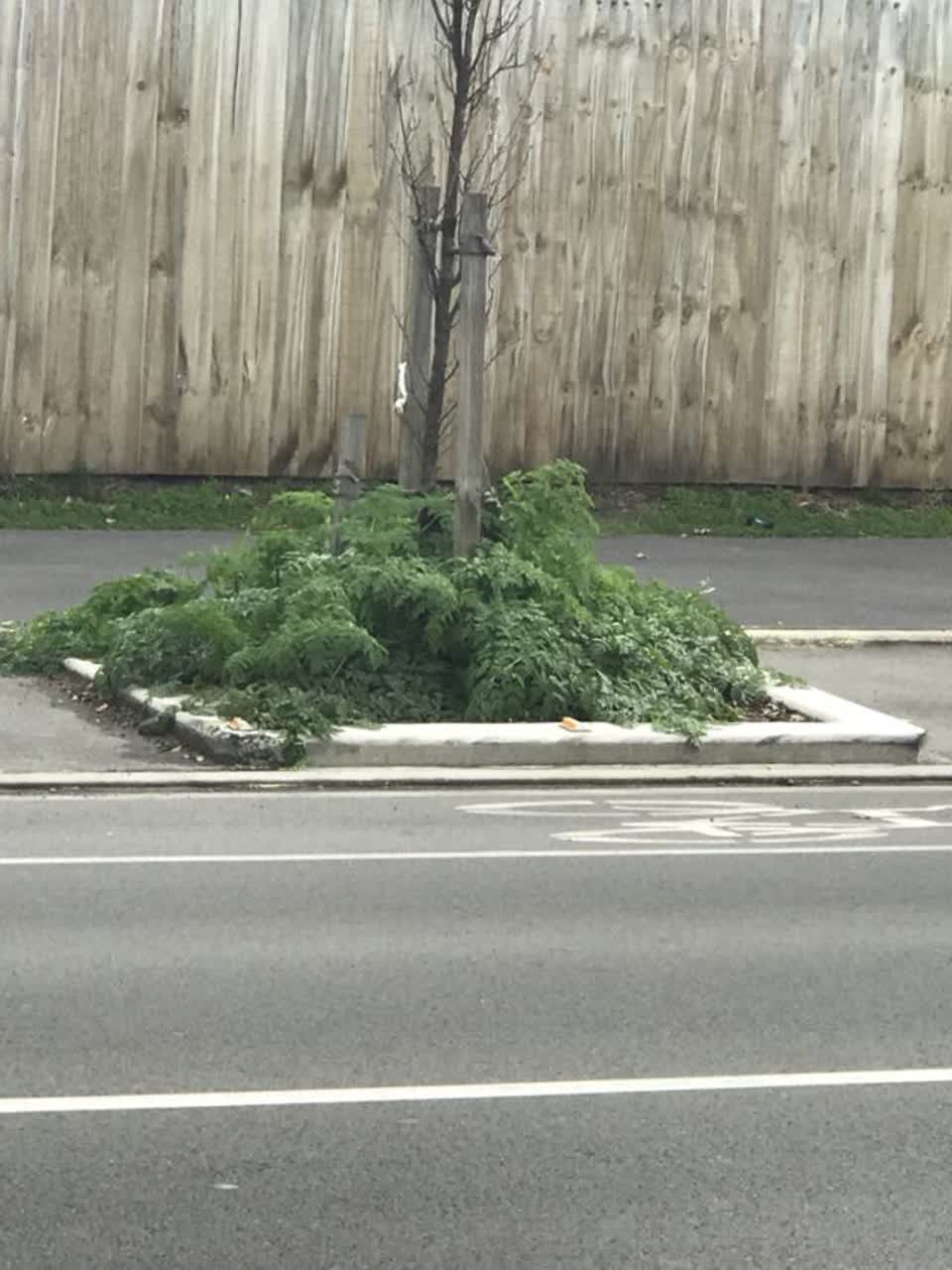 The photograph attached to this roading/streets report