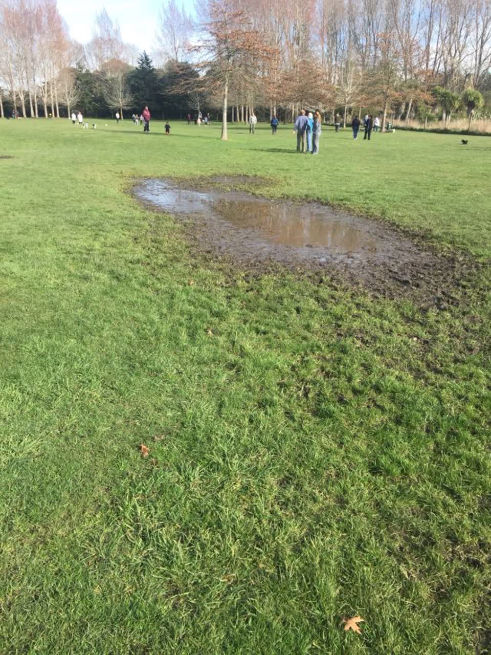 The photograph attached to this parks report