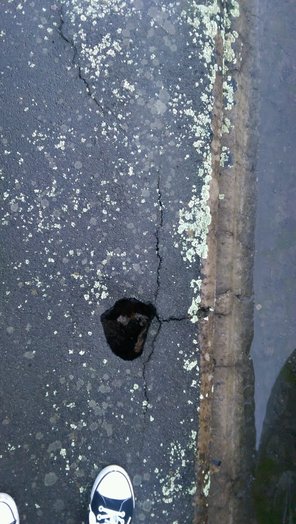 The photograph attached to this roading/streets report