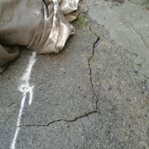 Roading/Streets, a report photo