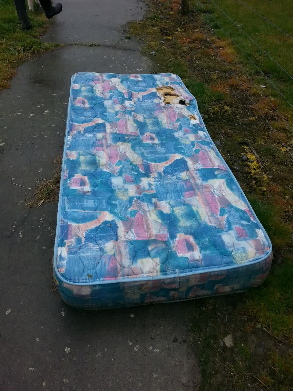 The photograph attached to this rubbish/recycling report
