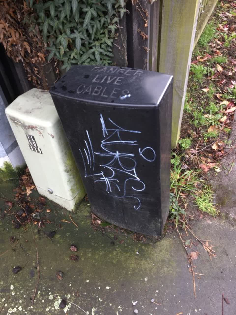 The photograph attached to this graffiti report