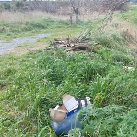 Rubbish/Recycling — a report photo