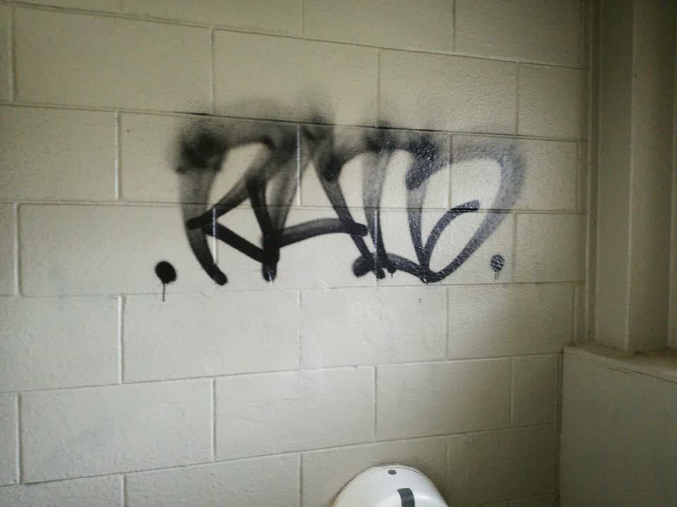 The photograph attached to this graffiti report