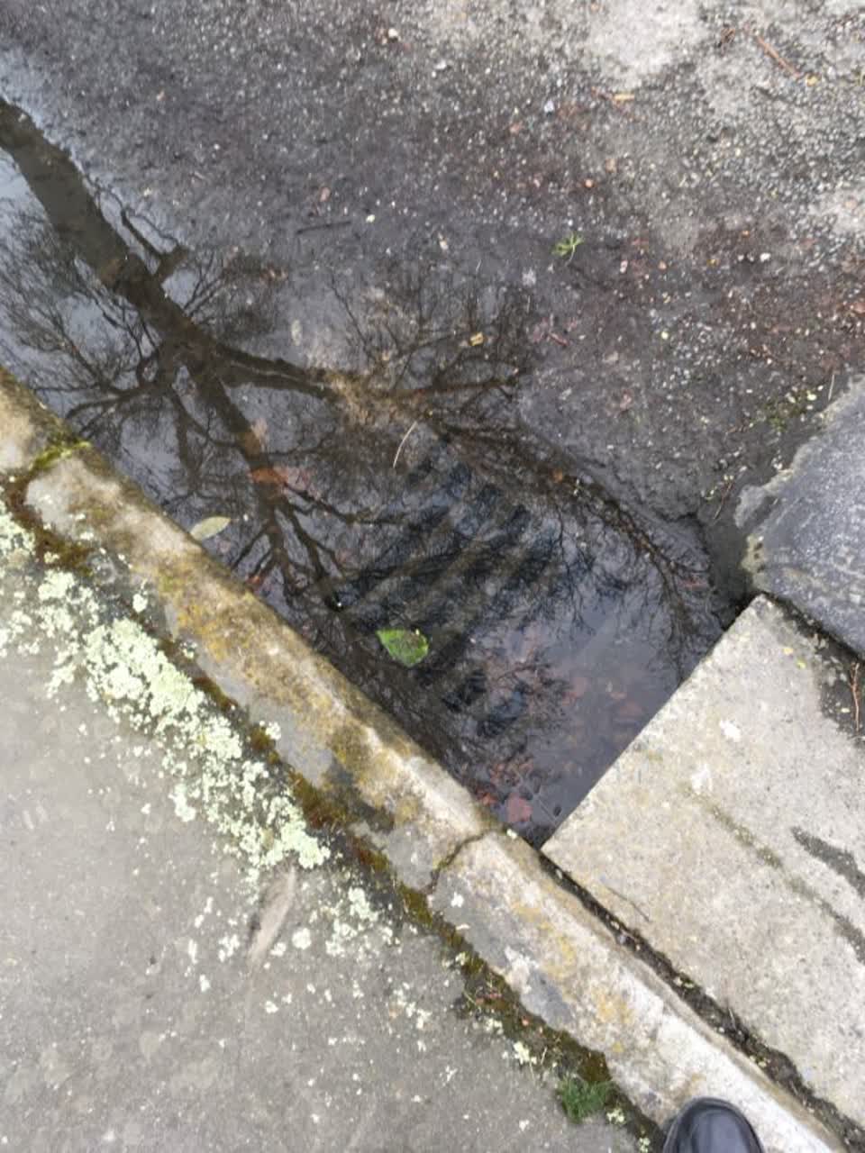 The photograph attached to this wastewater/stormwater report