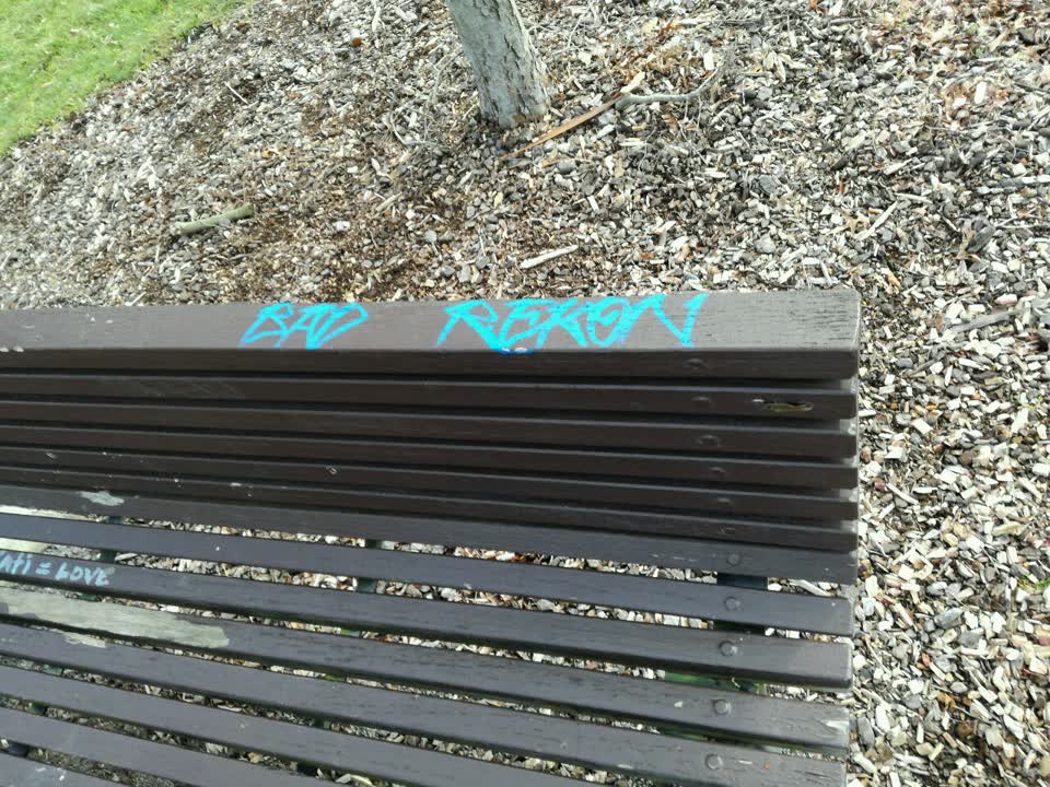 The photograph attached to this graffiti report