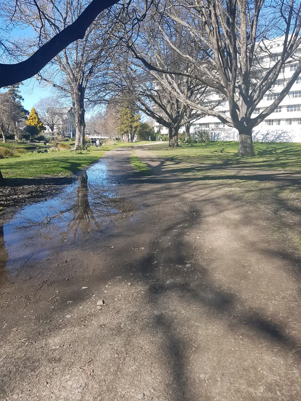The photograph attached to this parks report