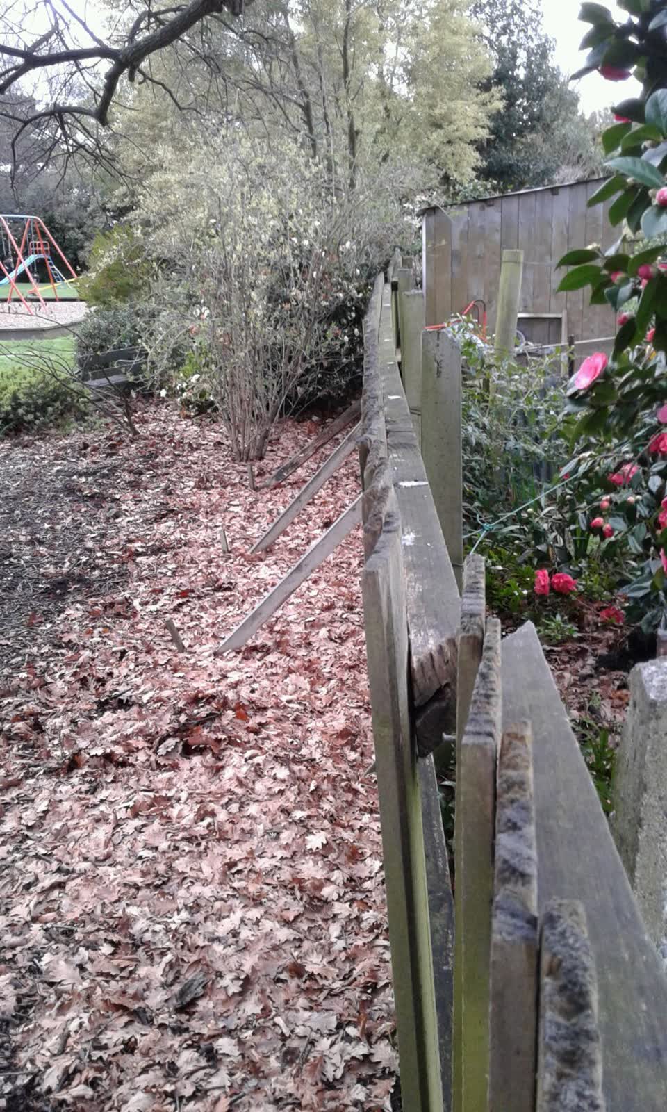 The photograph attached to this parks report