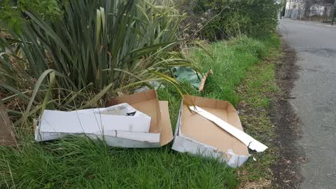 Rubbish/Recycling — a report photo