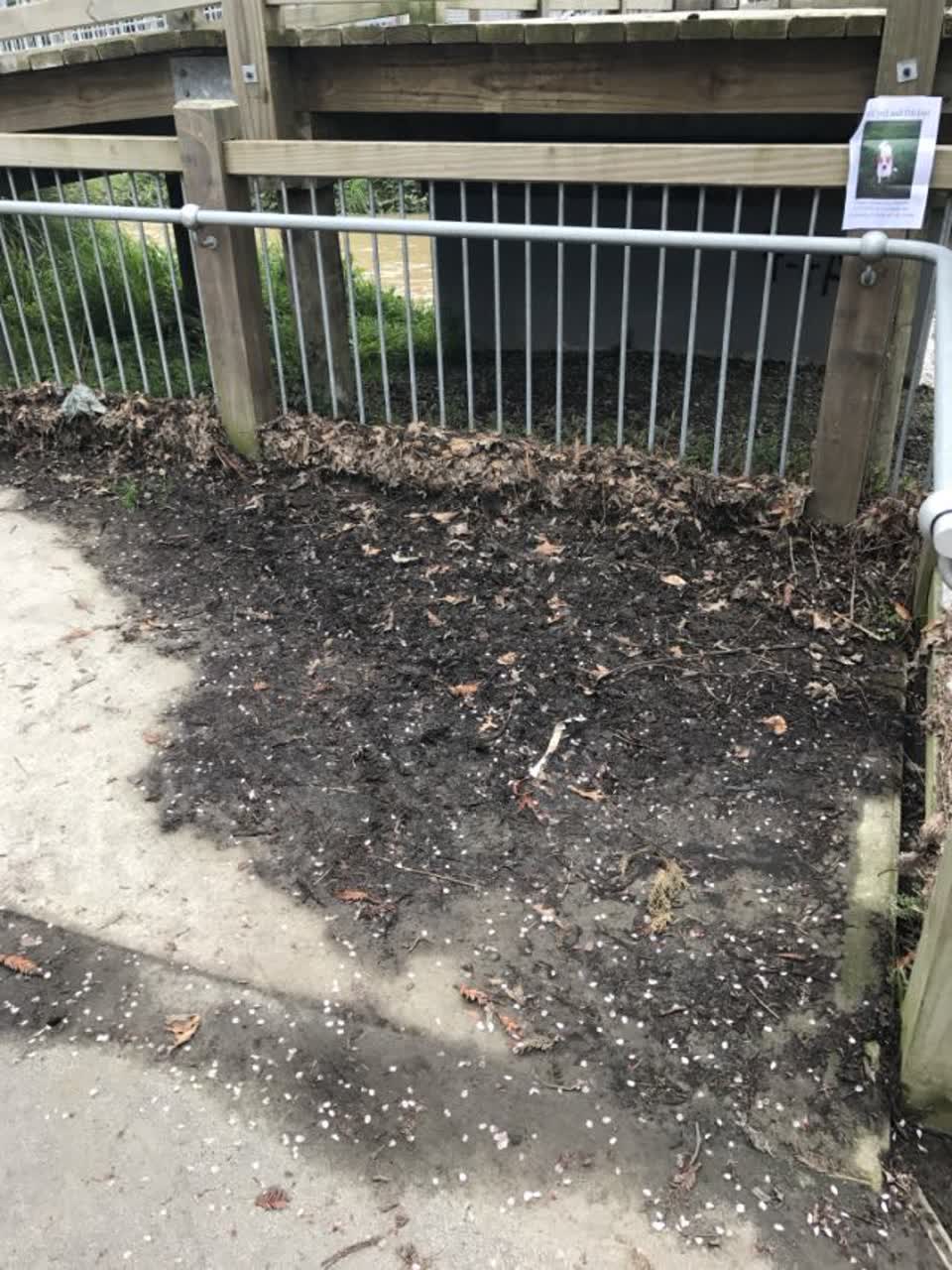 The photograph attached to this parks report