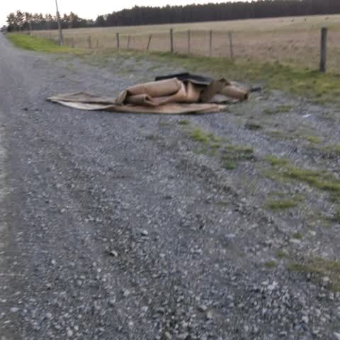 Rubbish/Recycling, a report photo