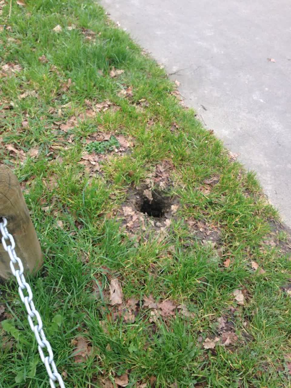 The photograph attached to this roading/streets report