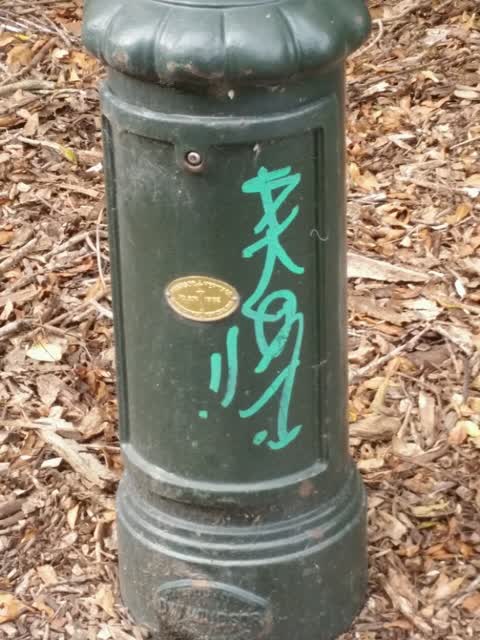 Graffiti, a report photo