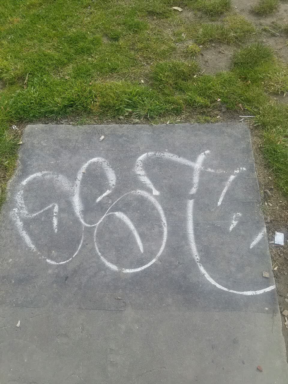 The photograph attached to this graffiti report