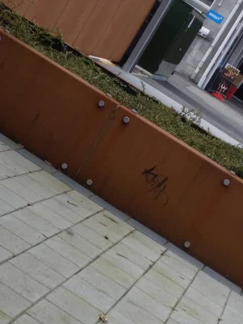Graffiti, a report photo