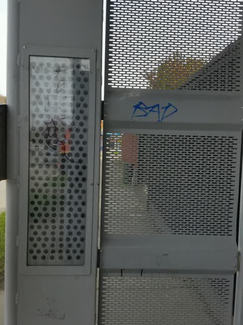 Graffiti, a report photo