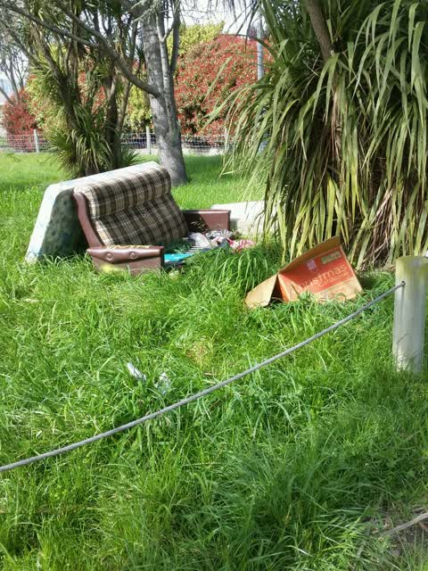 Rubbish/Recycling, a report photo