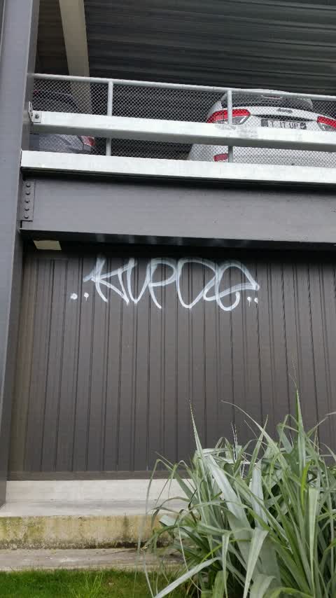 Graffiti, a report photo