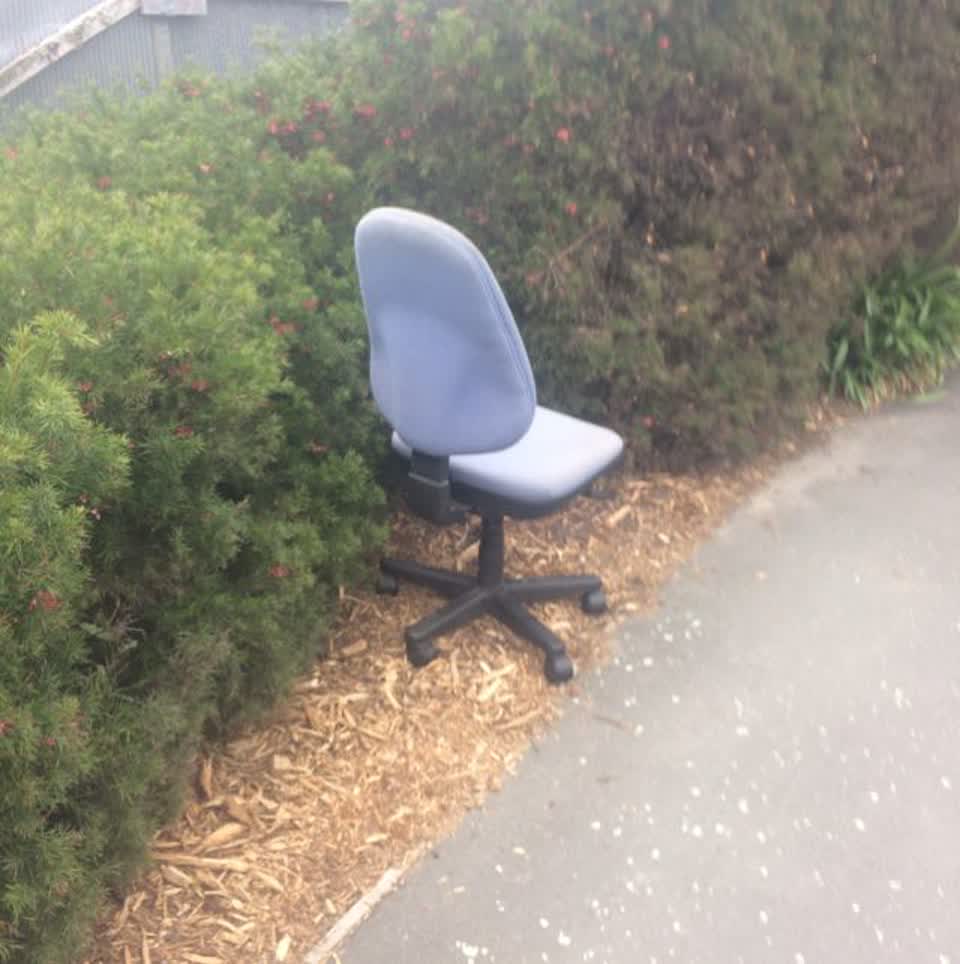 The photograph attached to this parks report