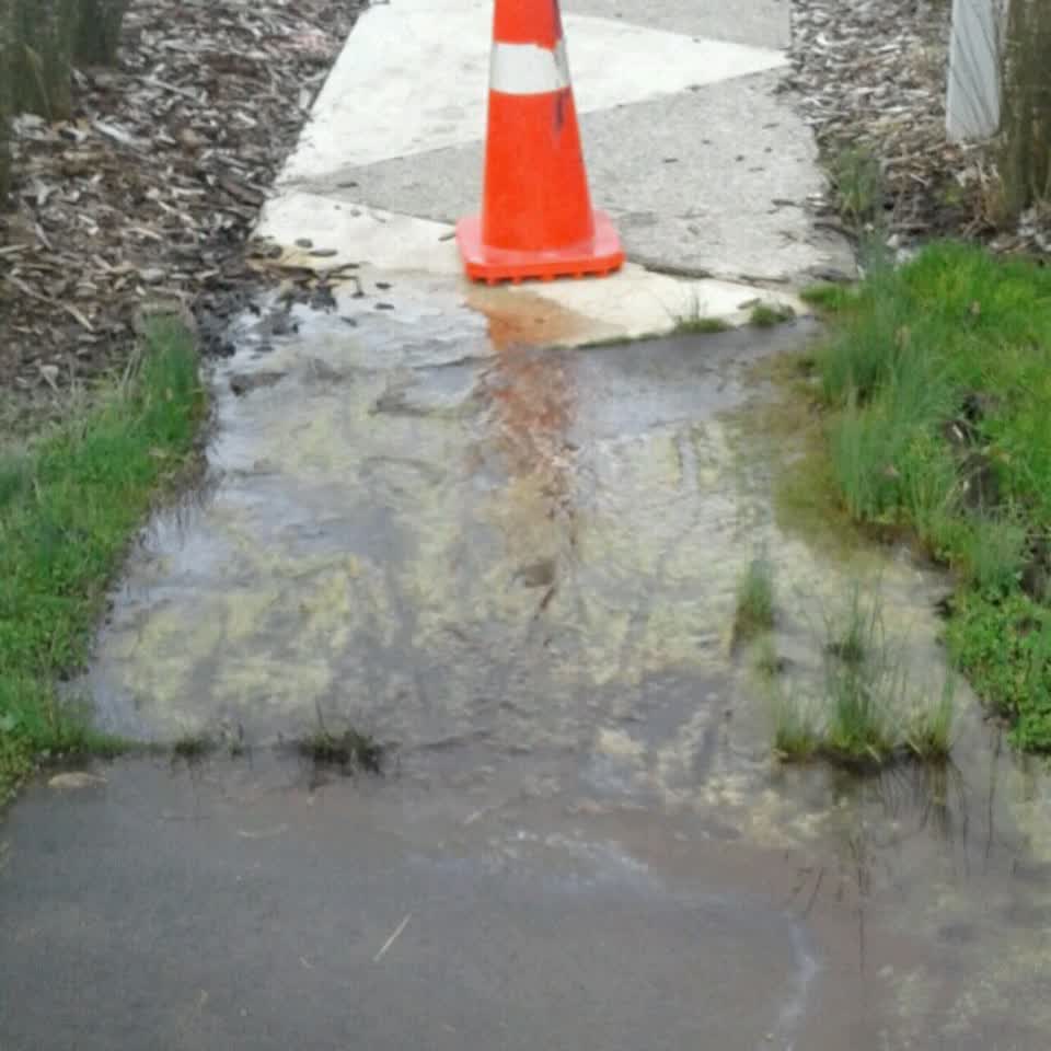 The photograph attached to this parks report