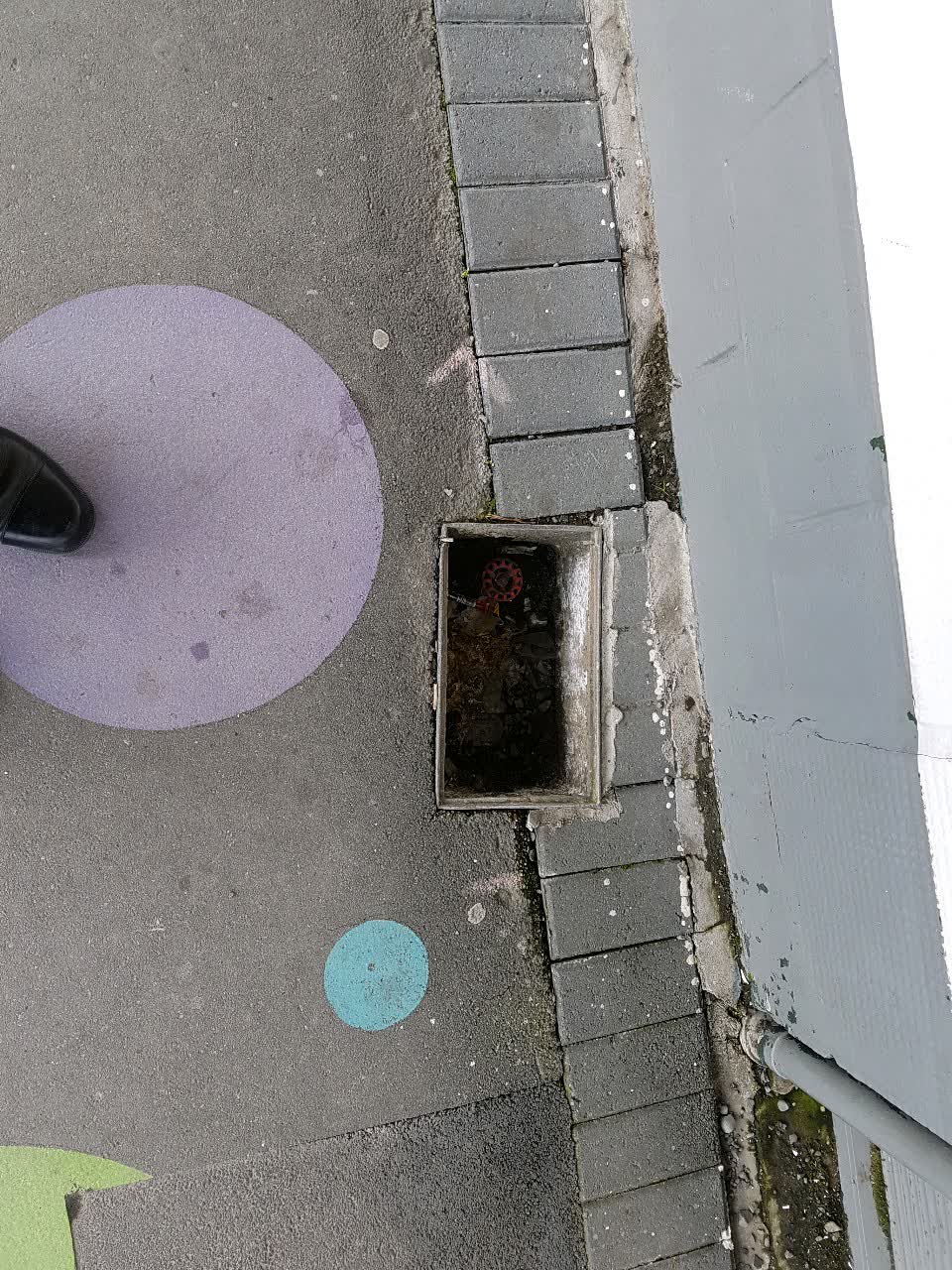 The photograph attached to this water supply report