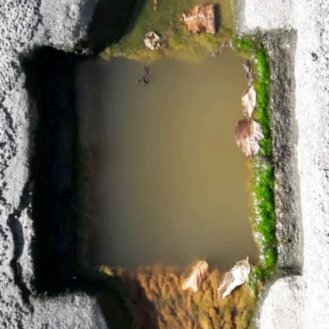 Wastewater/Stormwater, a report photo