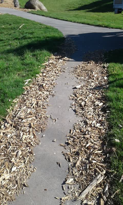 Parks, a report photo