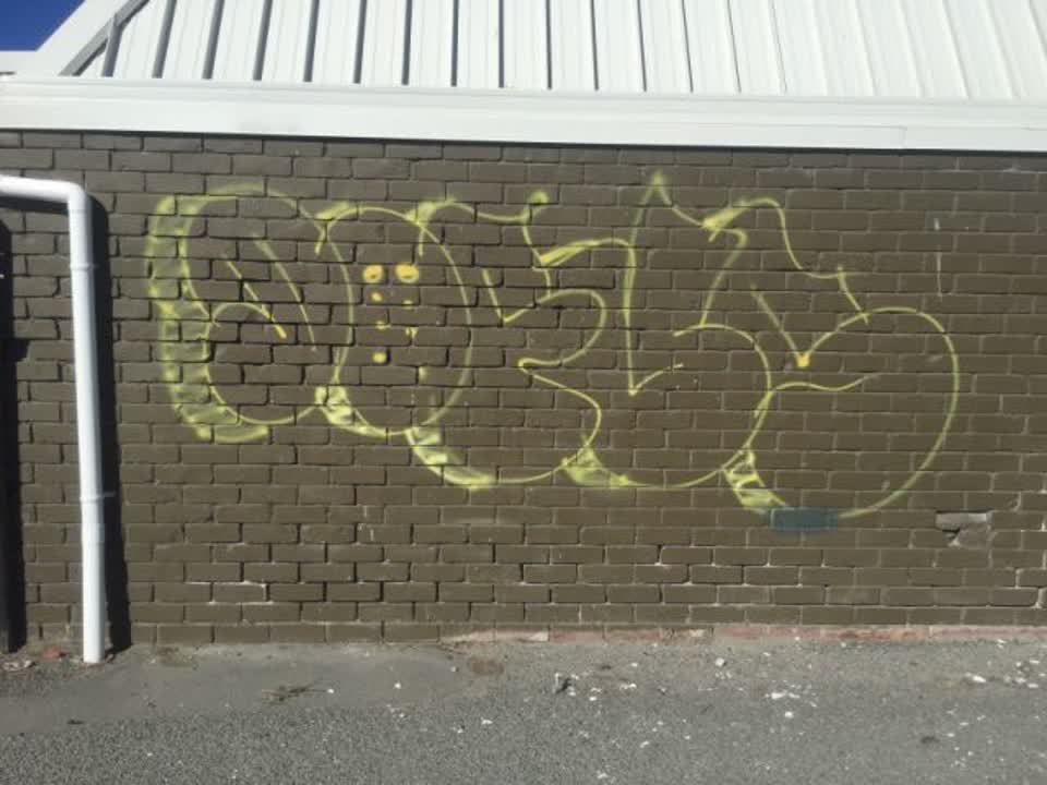 The photograph attached to this graffiti report
