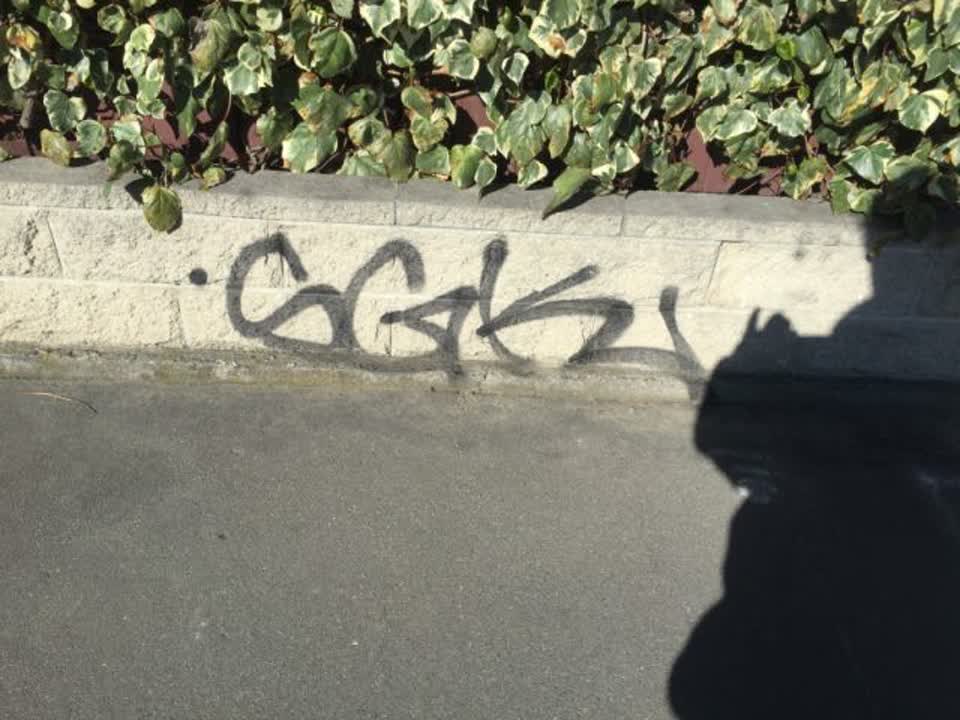 The photograph attached to this graffiti report