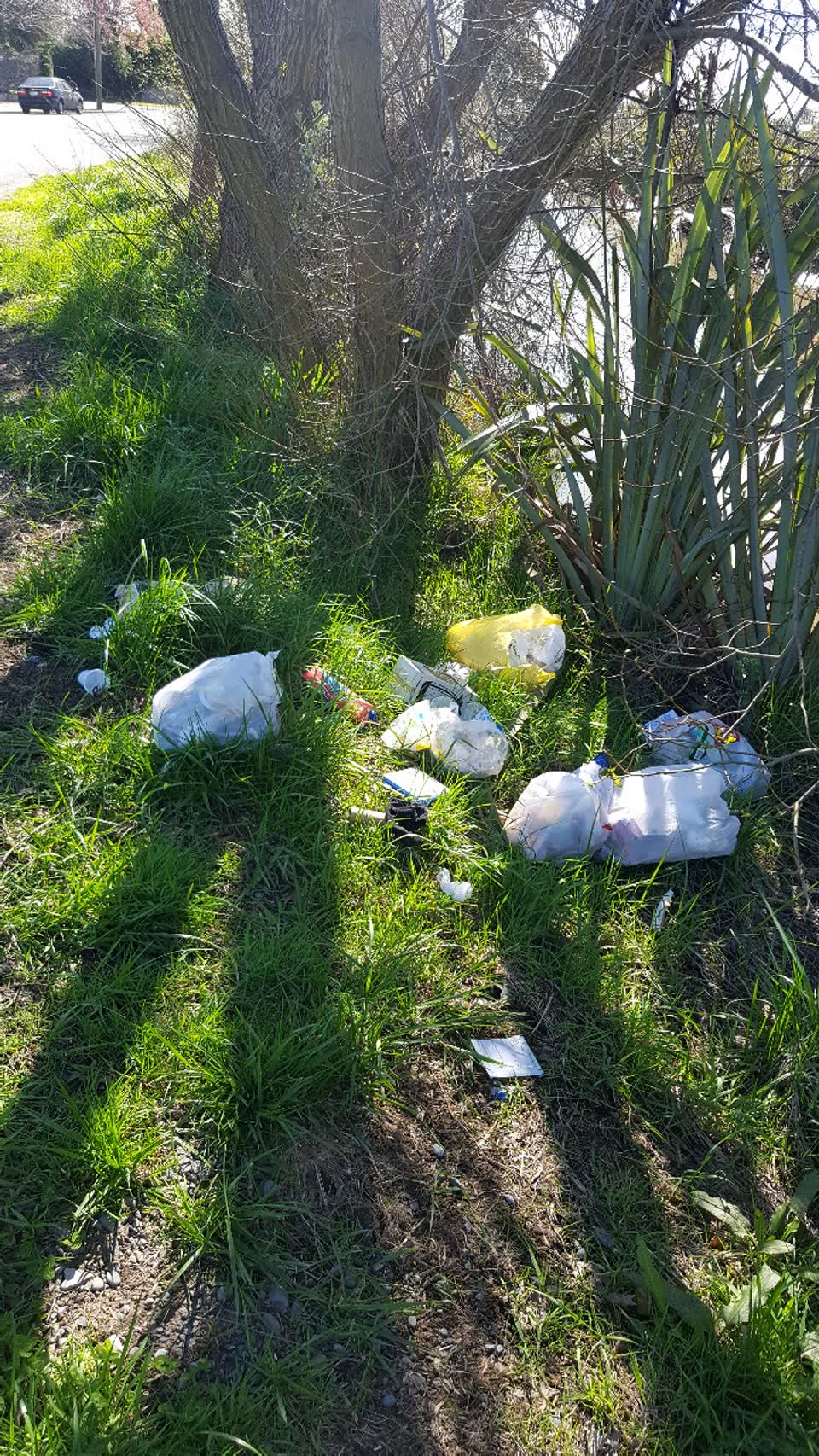 The photograph attached to this rubbish/recycling report