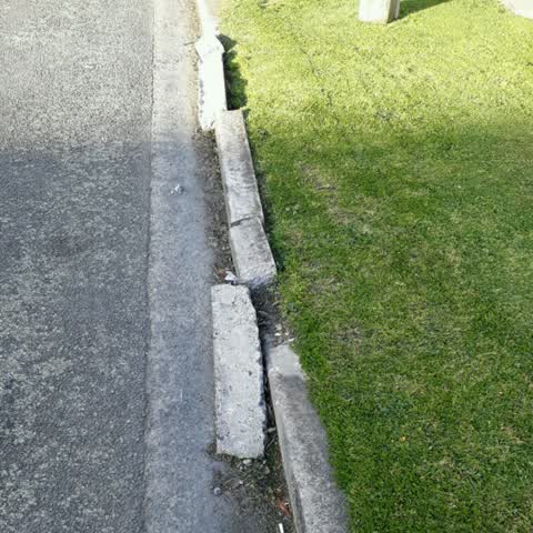 Roading/Streets, a report photo
