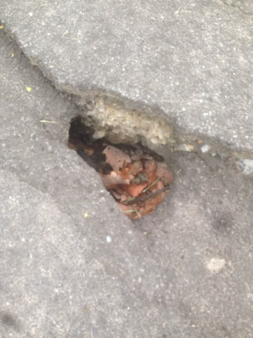 The photograph attached to this roading/streets report