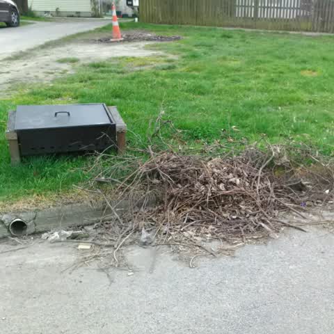 Rubbish/Recycling, a report photo