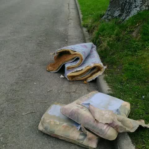 Roading/Streets, a report photo