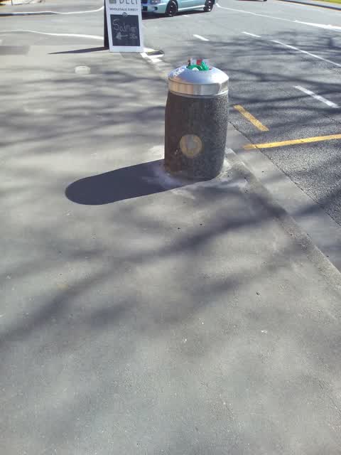 Rubbish/Recycling, a report photo
