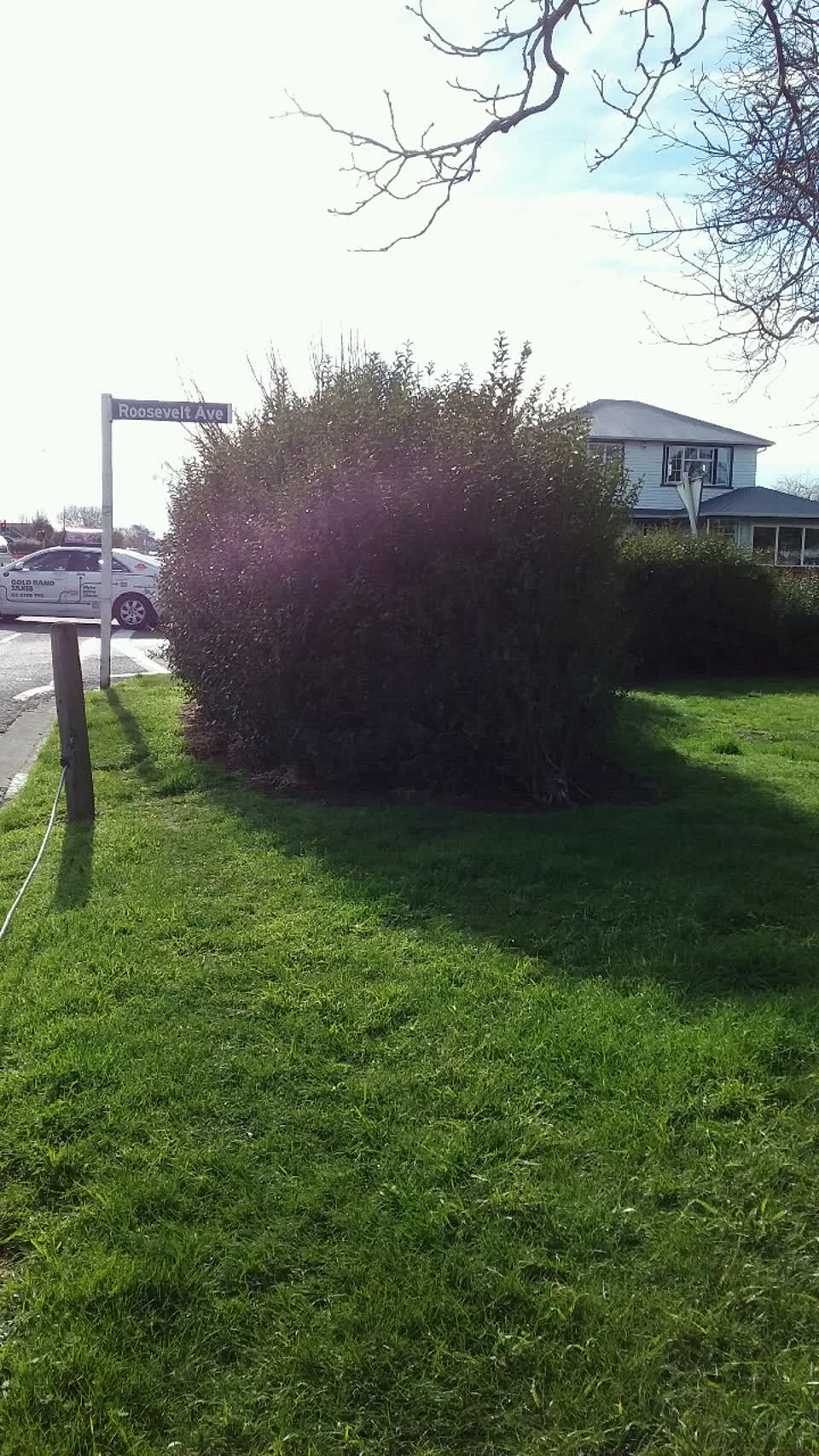The photograph attached to this parks report