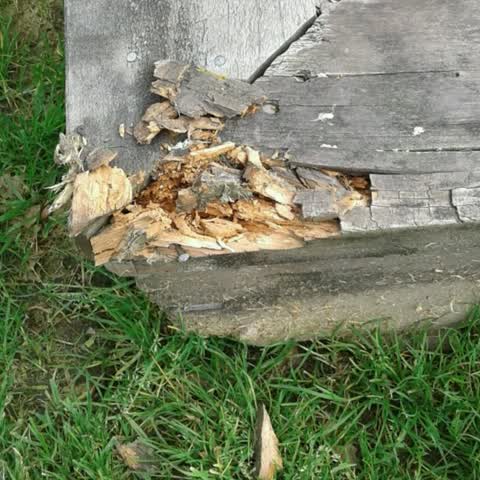 Parks, a report photo